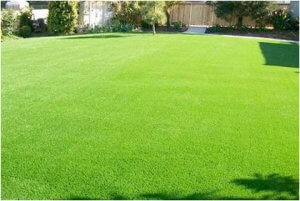 turf-suppliers-and-turf-laying